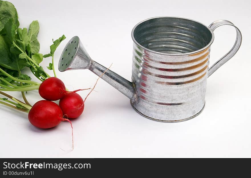 Radish And Metal Watering Can