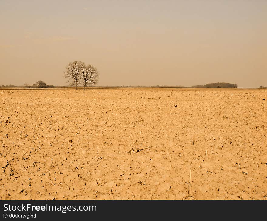 A farmer field after the season. A farmer field after the season