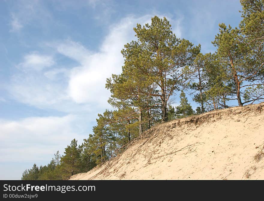 Sand Dunes