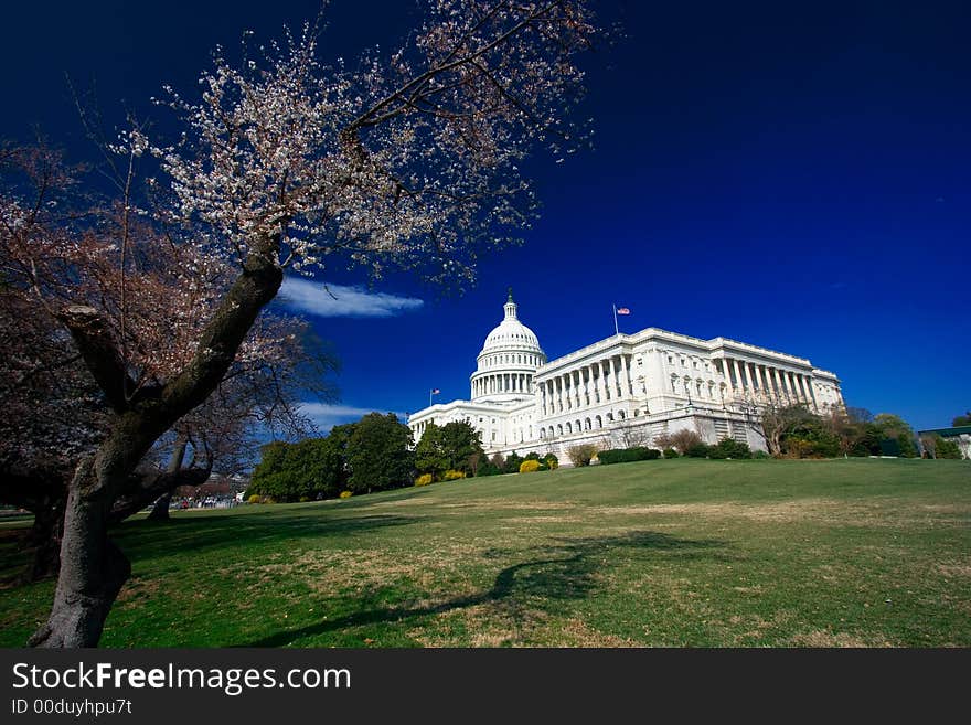 U.S. Capitol on a sunny spring