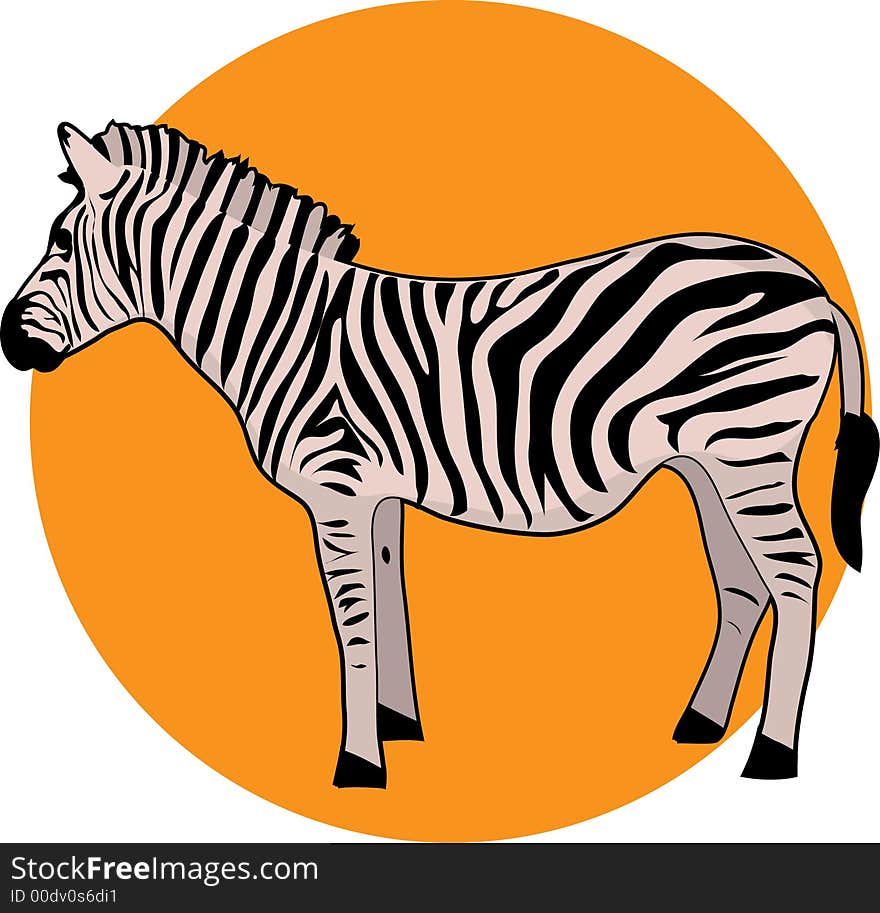 Illustration of a zebra on an orange ciecle