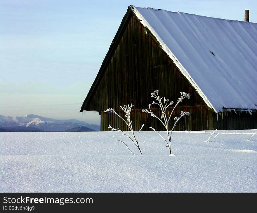 Ice coating about wooden cottage. Ice coating about wooden cottage