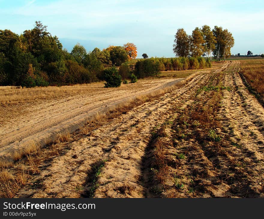 Autumn Landscape - country road, fields and trees.