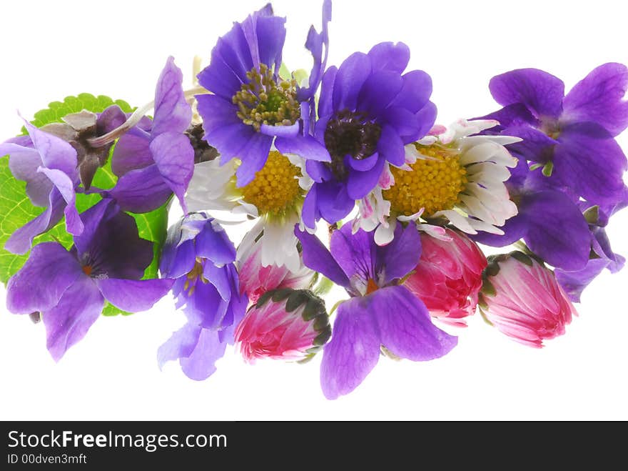 Color flowers on light box