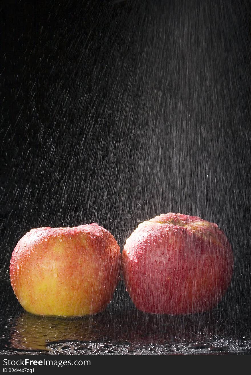 Apples In The Rain