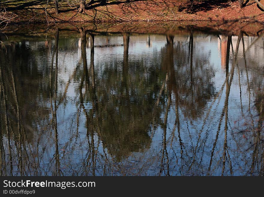 An image of a pond reflection