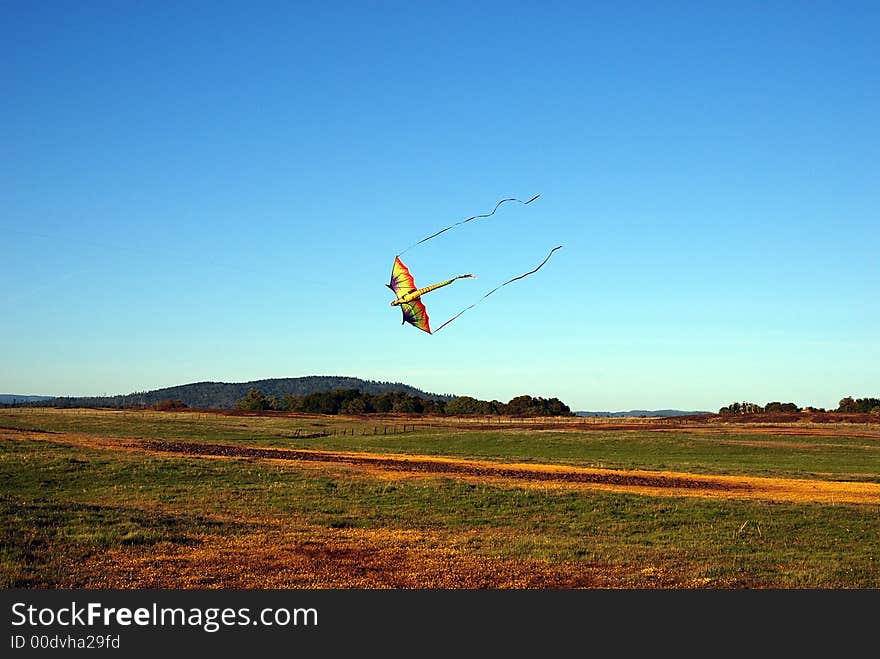 Colorful dragon kite against blue sky with yellow flowers on foreground. Colorful dragon kite against blue sky with yellow flowers on foreground