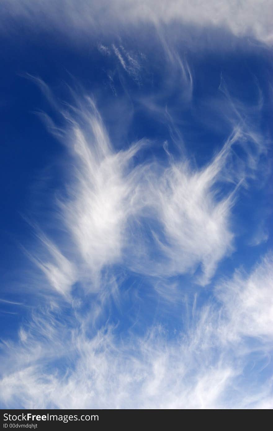 Plumose clouds in the blue sky. Plumose clouds in the blue sky