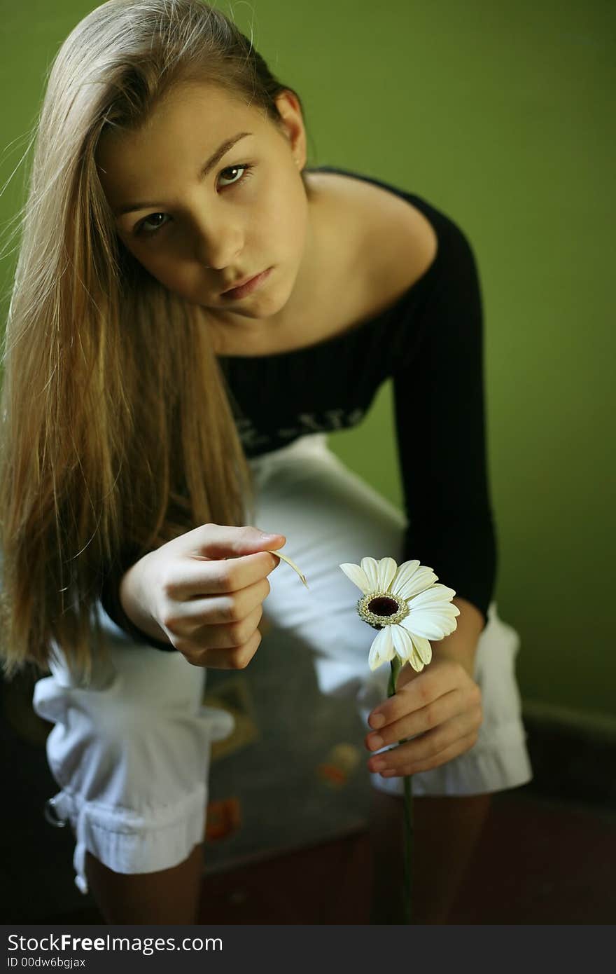 The girl sitting on a chair with a gerber on a green background. The girl sitting on a chair with a gerber on a green background