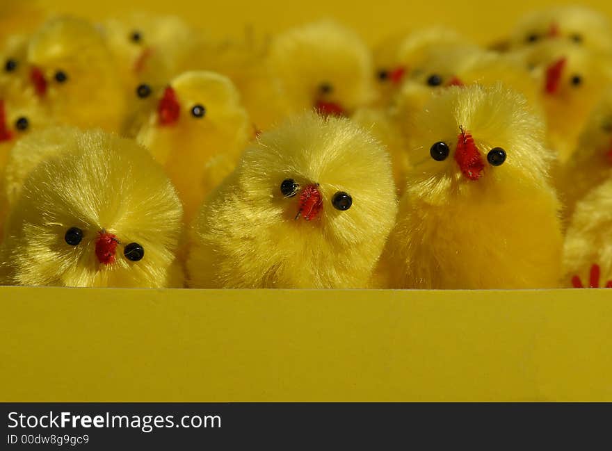 Ready for card easter chicks. Ready for card easter chicks