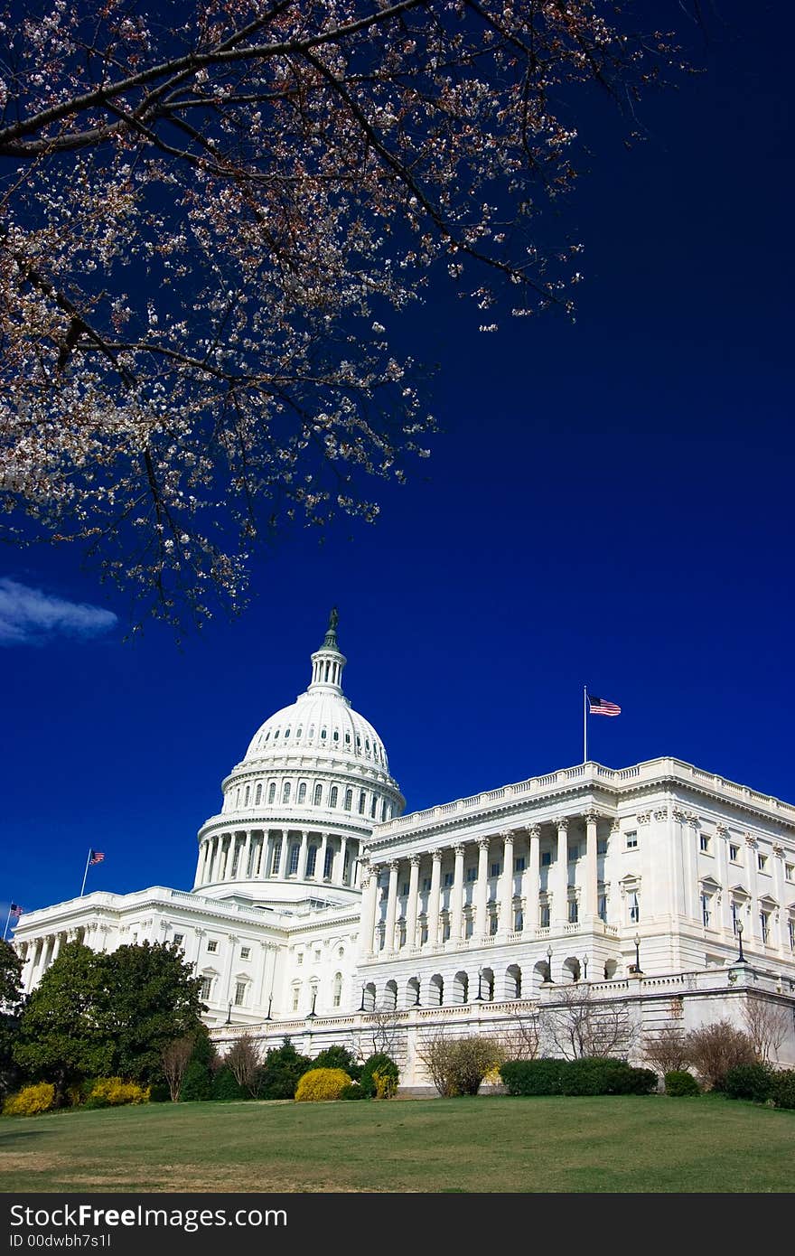 U.S. Capitol Building on a beautiful blue sky spring day. U.S. Capitol Building on a beautiful blue sky spring day