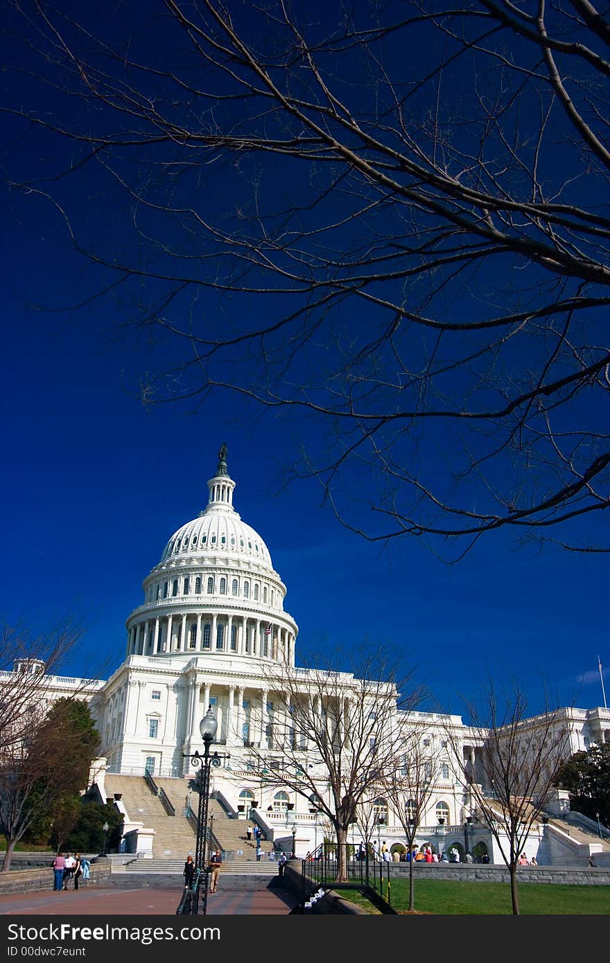 U.S. Capitol on a sunny day