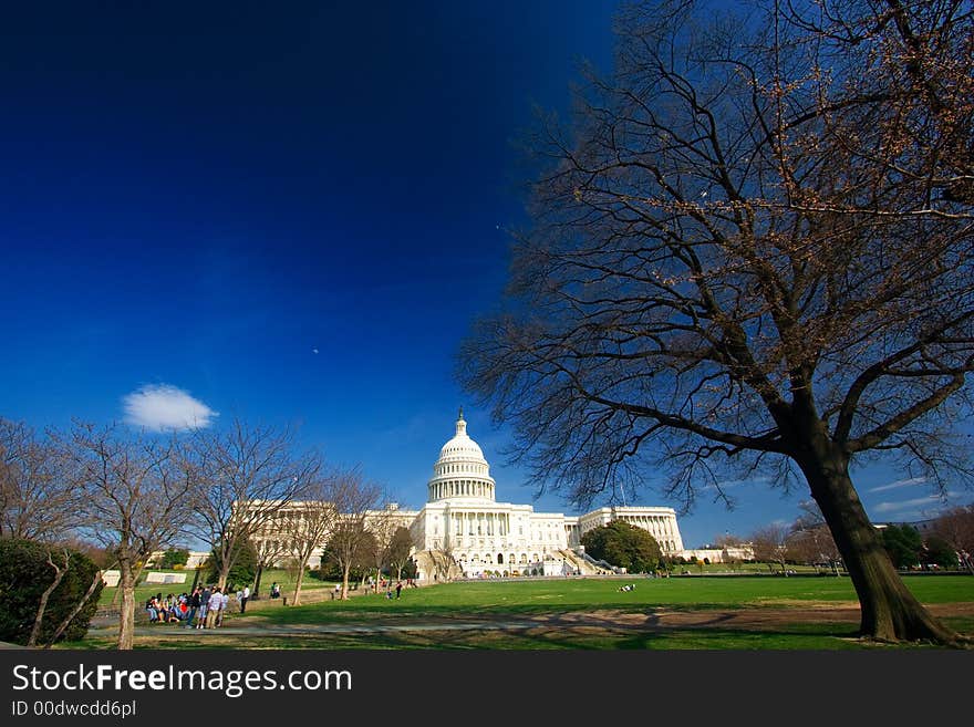 U.S. Capitol on a sunny day