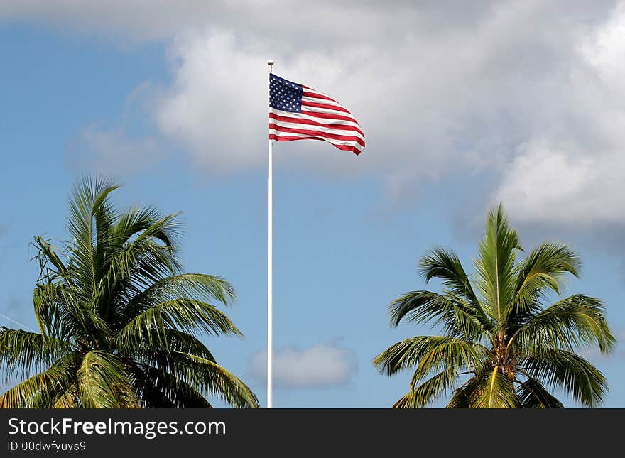 American Flag in sky between two palm trees. American Flag in sky between two palm trees