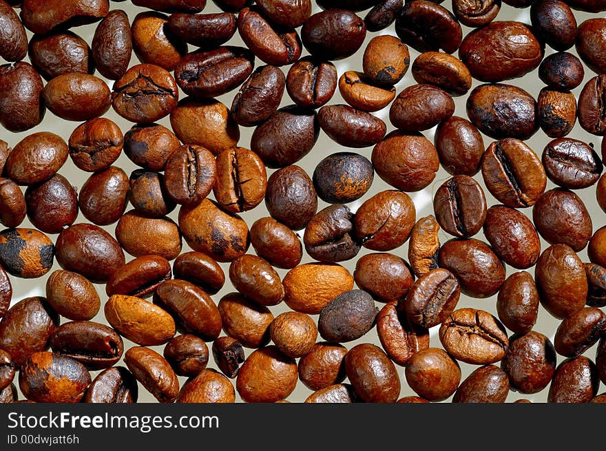 Coffee bean on white background. Coffee bean on white background