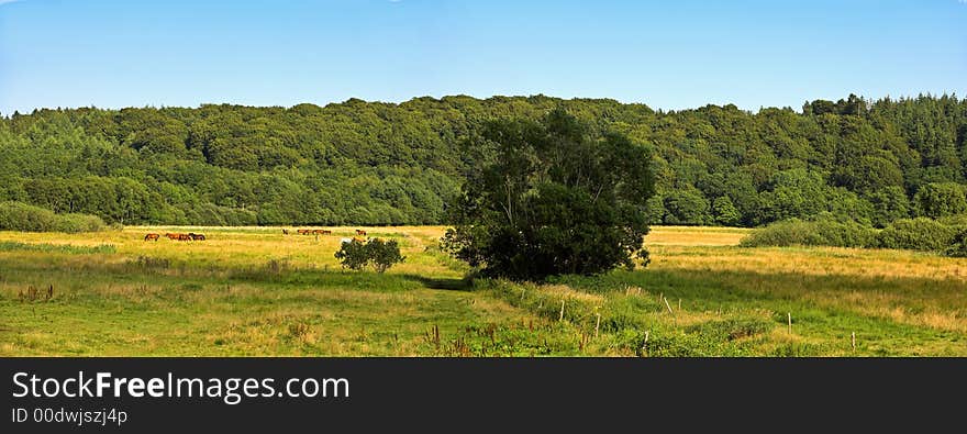 Farmland panorama