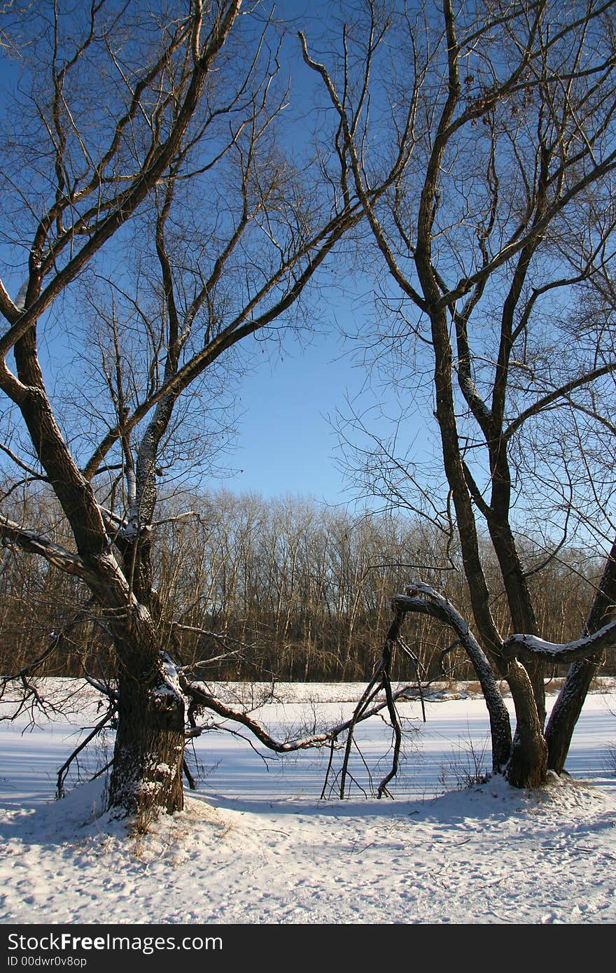 Winter landscape.