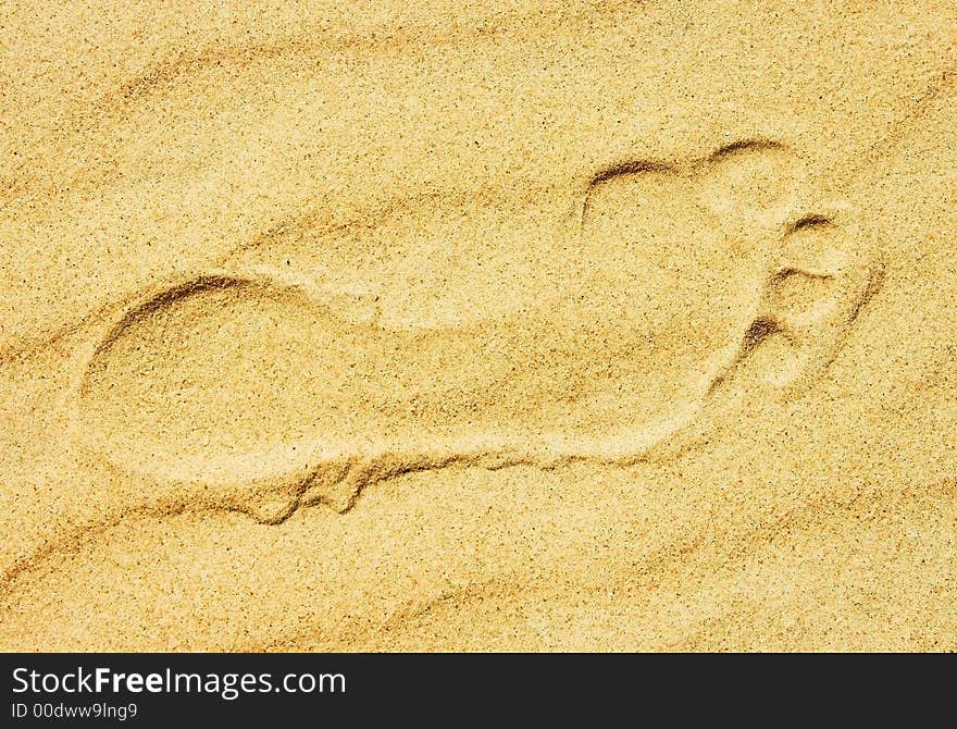 Foot print in a beach sand.