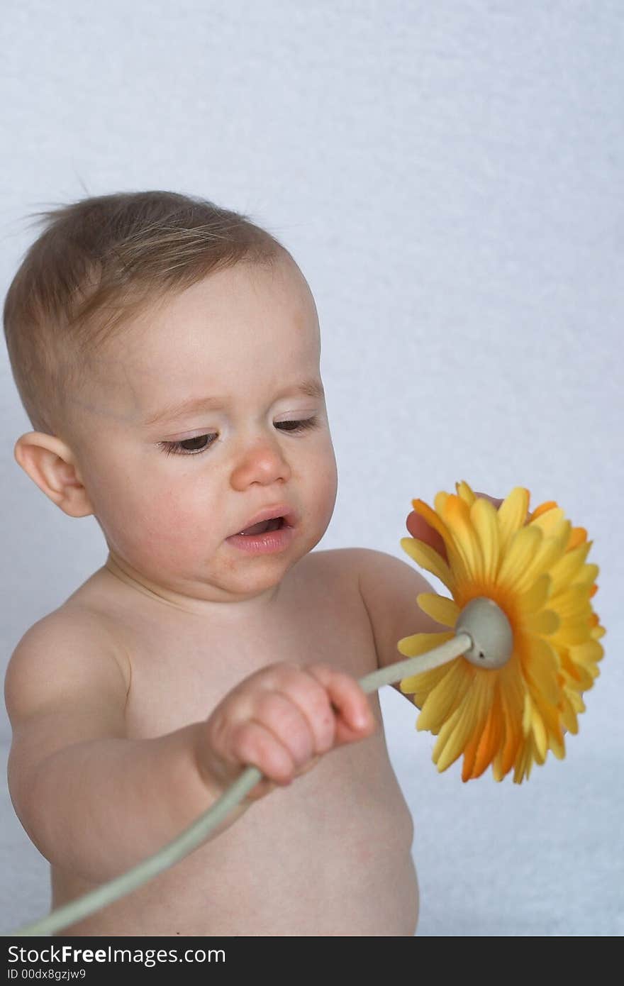 Image of cute baby playing with a a silk flower. Image of cute baby playing with a a silk flower