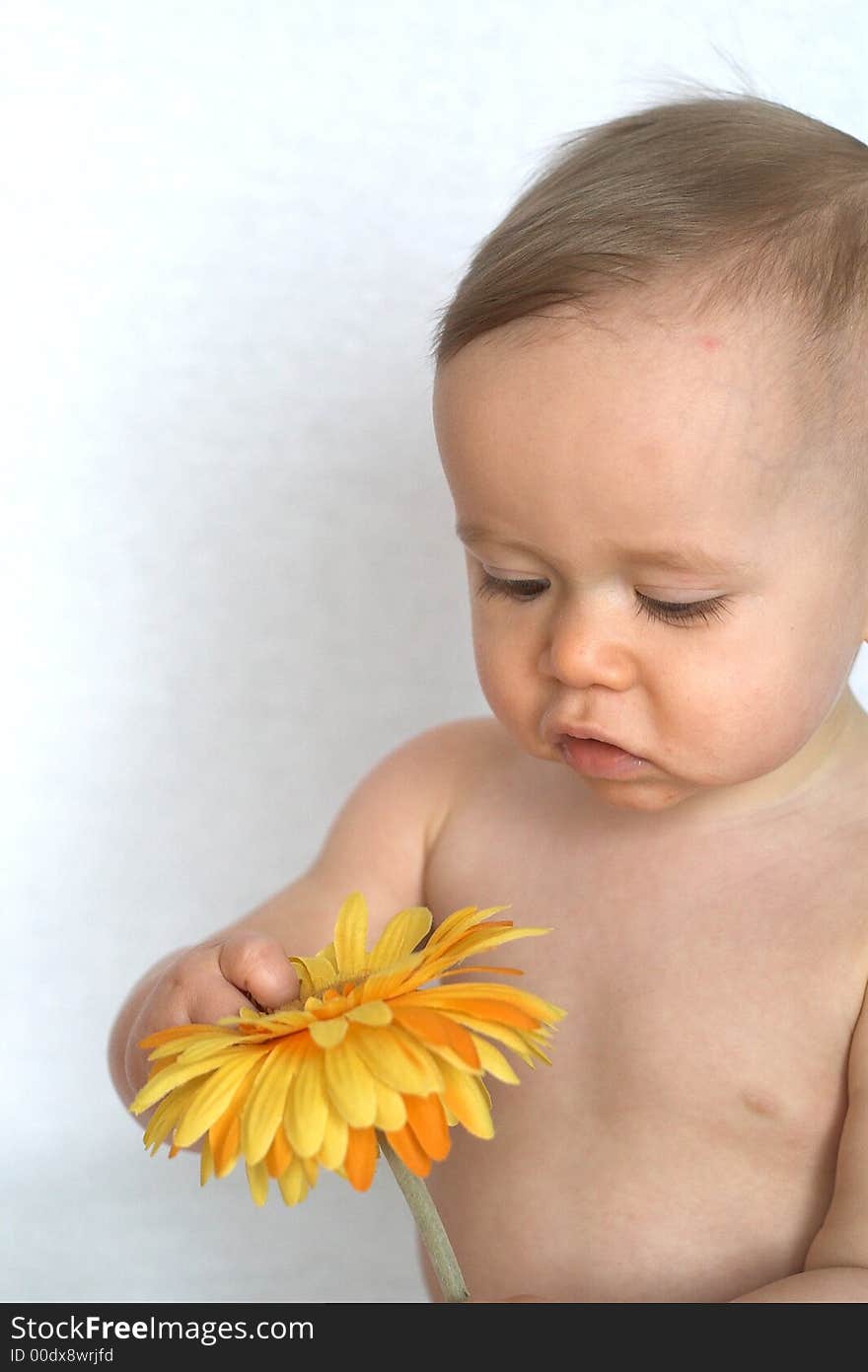 Image of cute baby holding a a silk flower. Image of cute baby holding a a silk flower