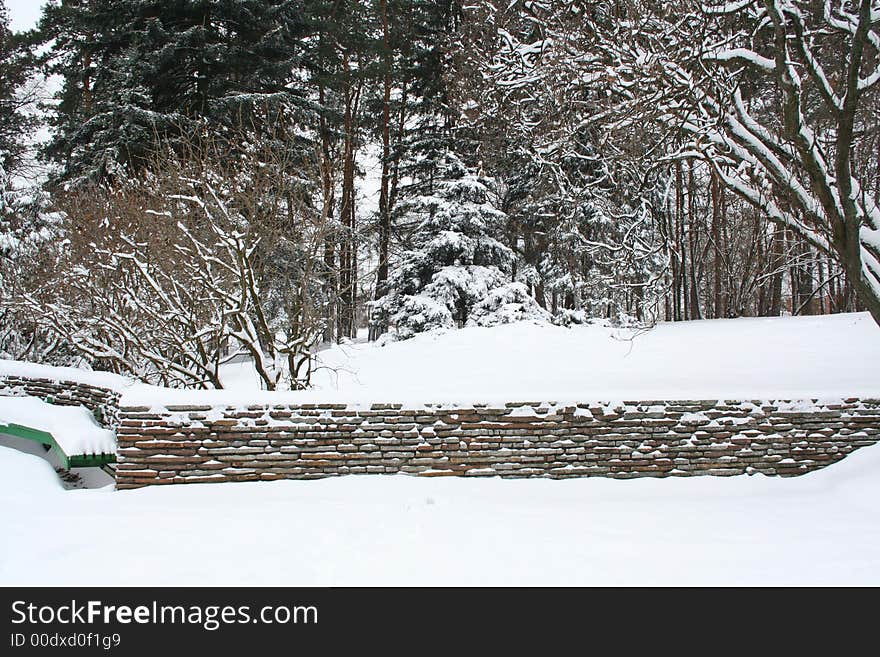 Winter landscape