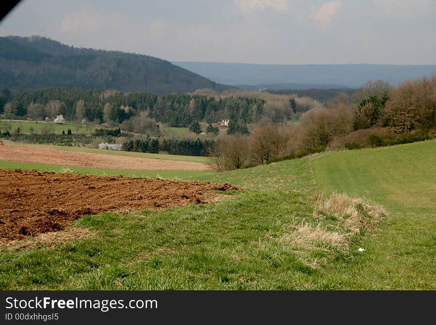 Agriculture landscape with fields and trees