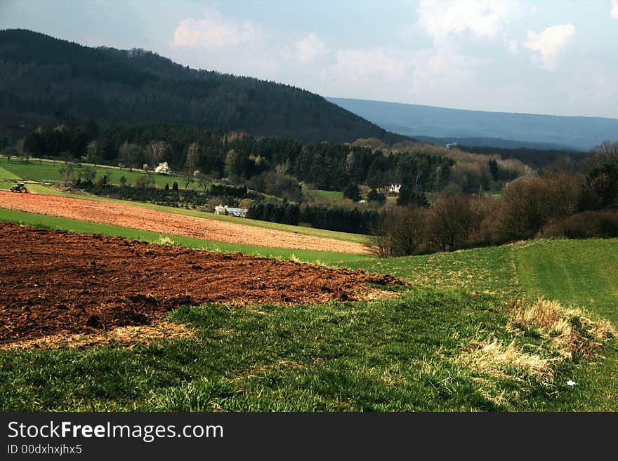 Agriculture landscape with fields and trees