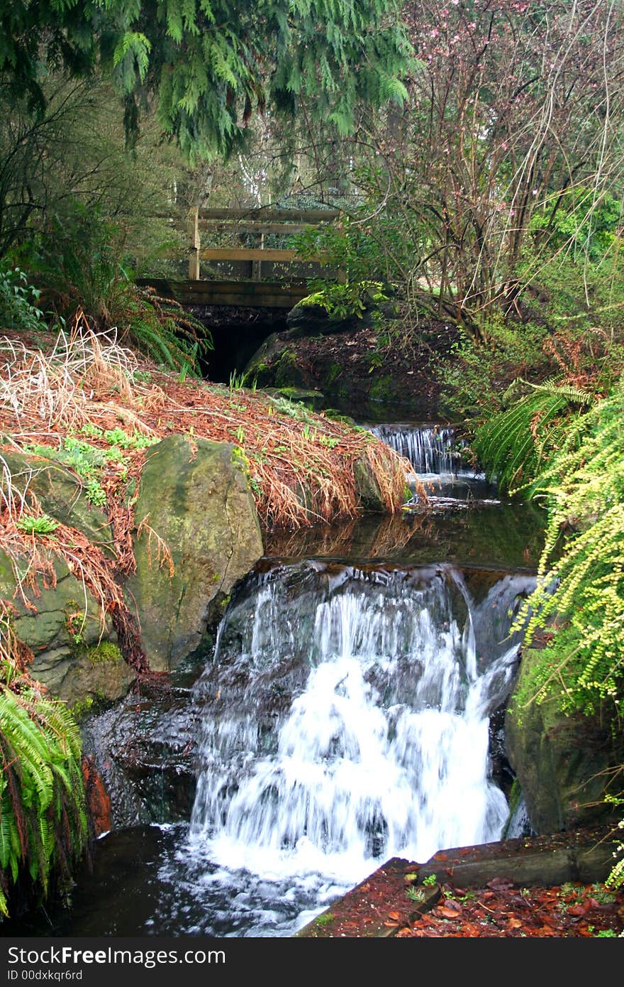 A stream with a waterfall and bridge in a rainforest. A stream with a waterfall and bridge in a rainforest