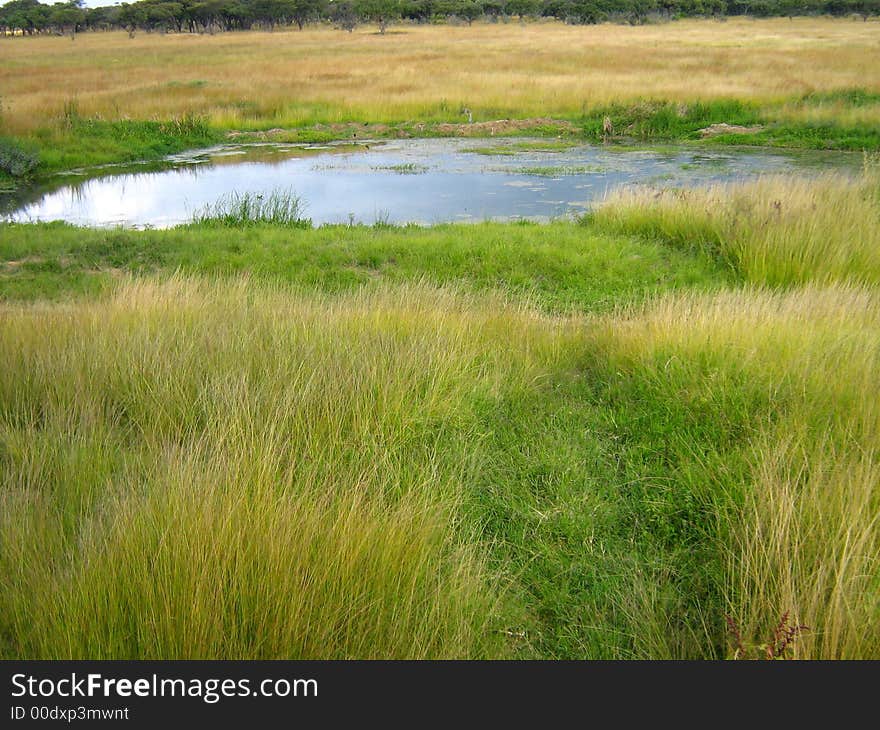 Mukuvisi Pond