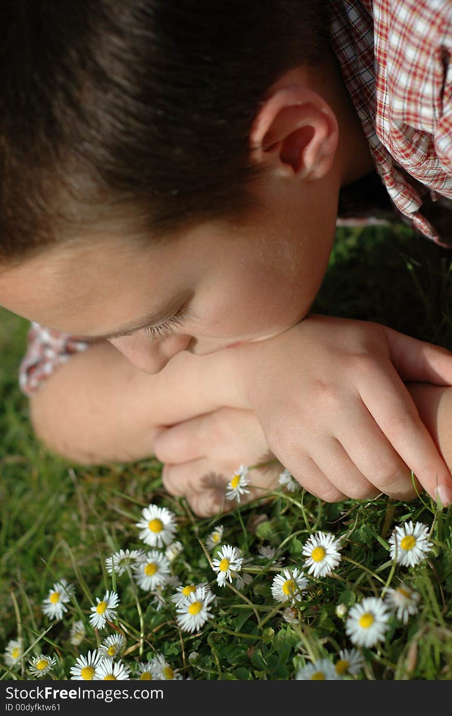 Young kid in a daisy meadow. Young kid in a daisy meadow