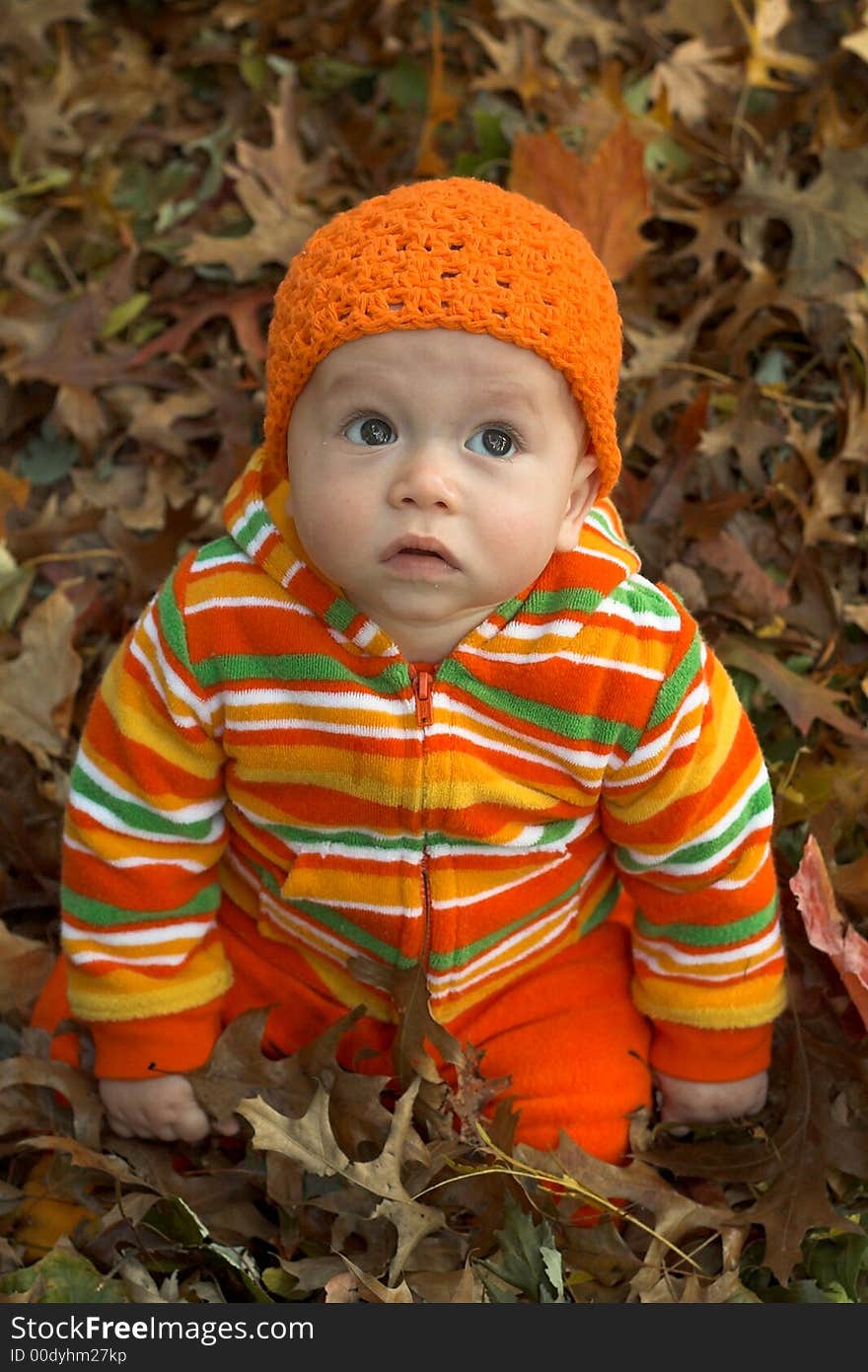 Picture of cute baby sitting in a pile of fallen leaves. Picture of cute baby sitting in a pile of fallen leaves