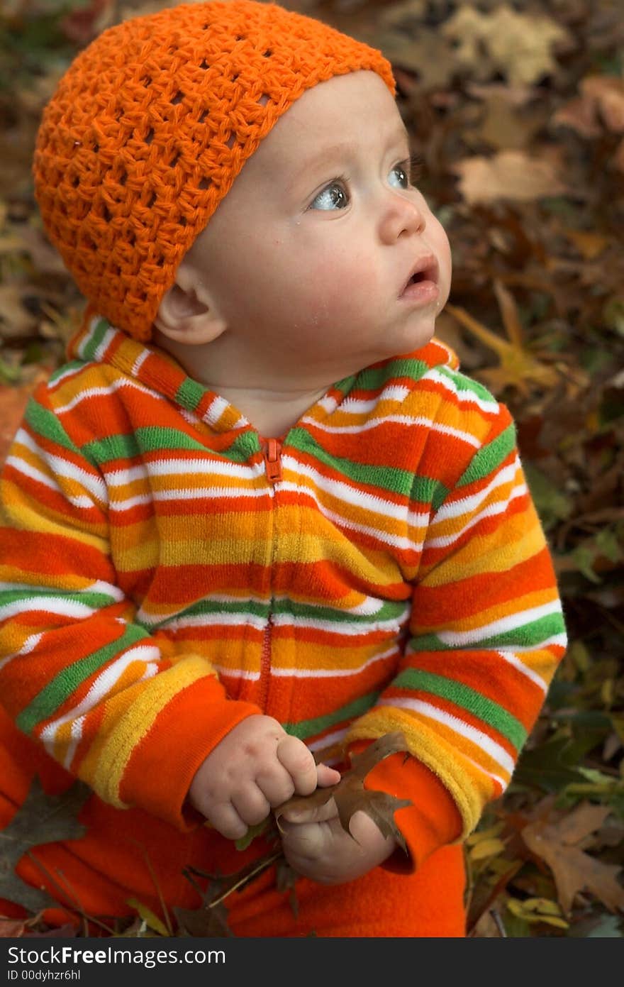 Picture of cute baby sitting in a pile of fallen leaves. Picture of cute baby sitting in a pile of fallen leaves