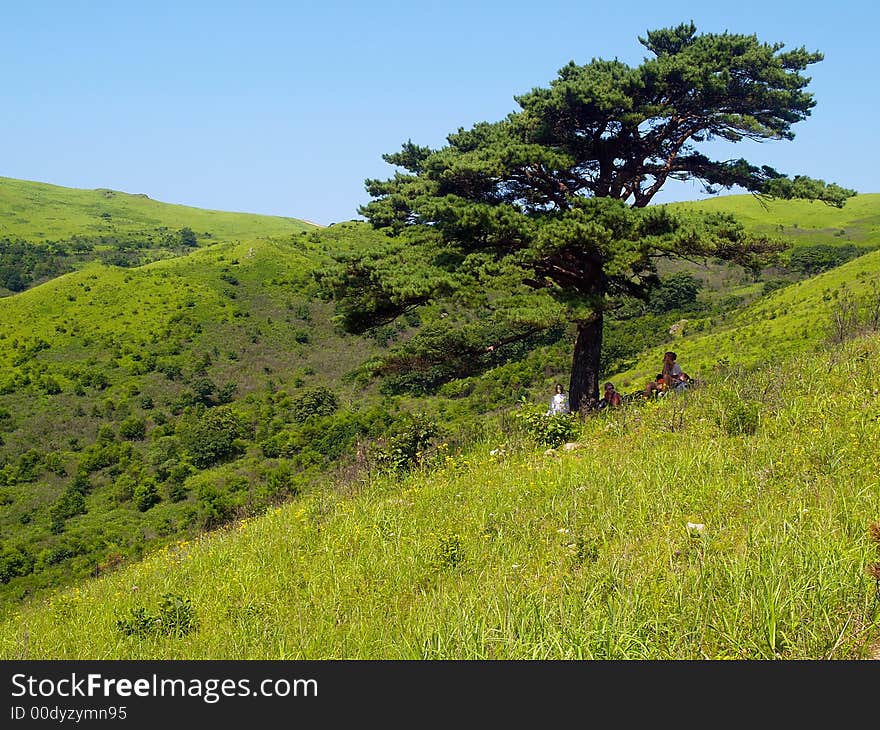 Group of hiking travelling peoples under the lonely pine tree on the mountain hill and meadow
. Group of hiking travelling peoples under the lonely pine tree on the mountain hill and meadow