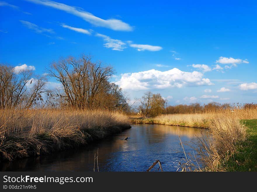 Lonely River Landscape