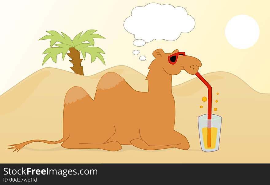 Drinking & Thinking Camel