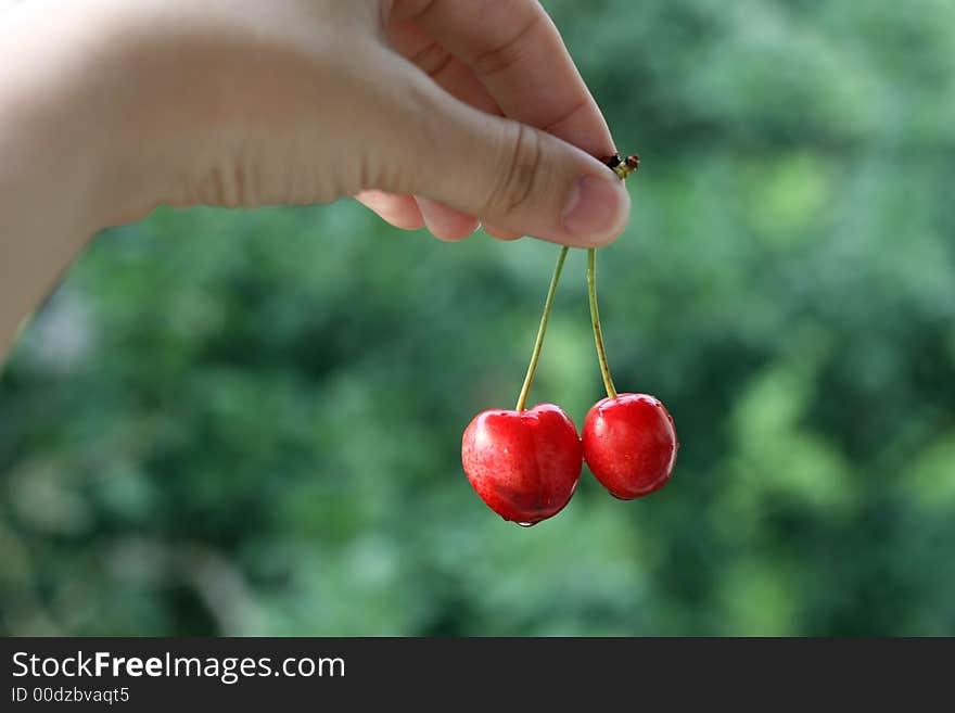 First cherries