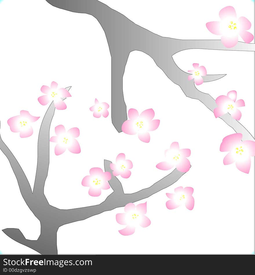 White background flowers