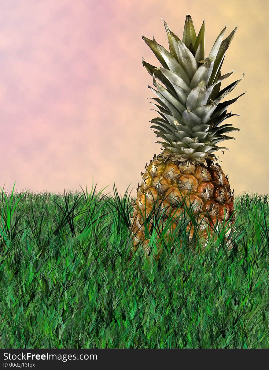 Pineapple Illustration