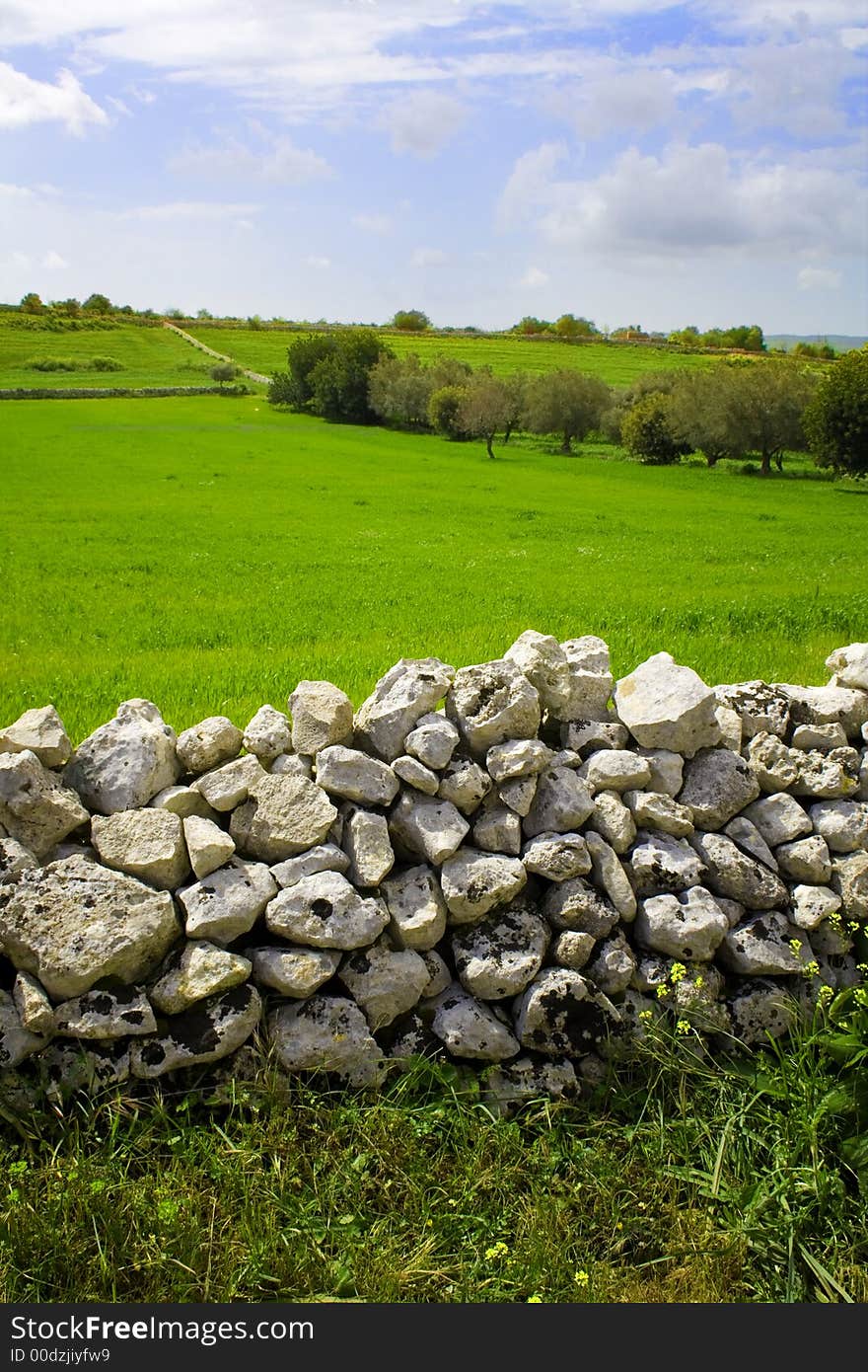 The sicilian landscape, in first plane the caracteristic rock wall