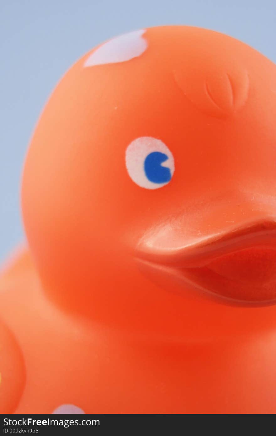 Rubber Duck