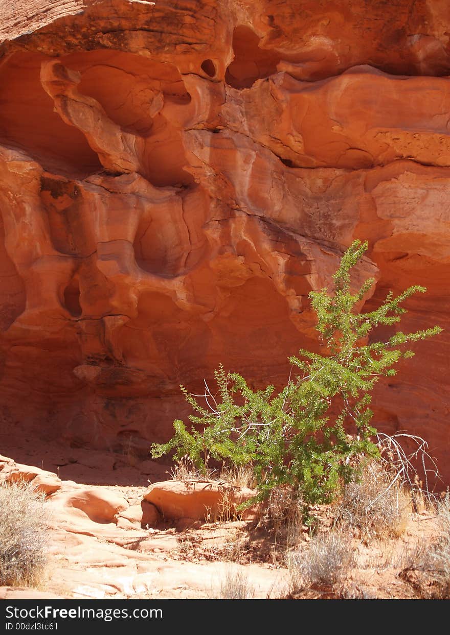 Red rock formations in the Valley of Fire