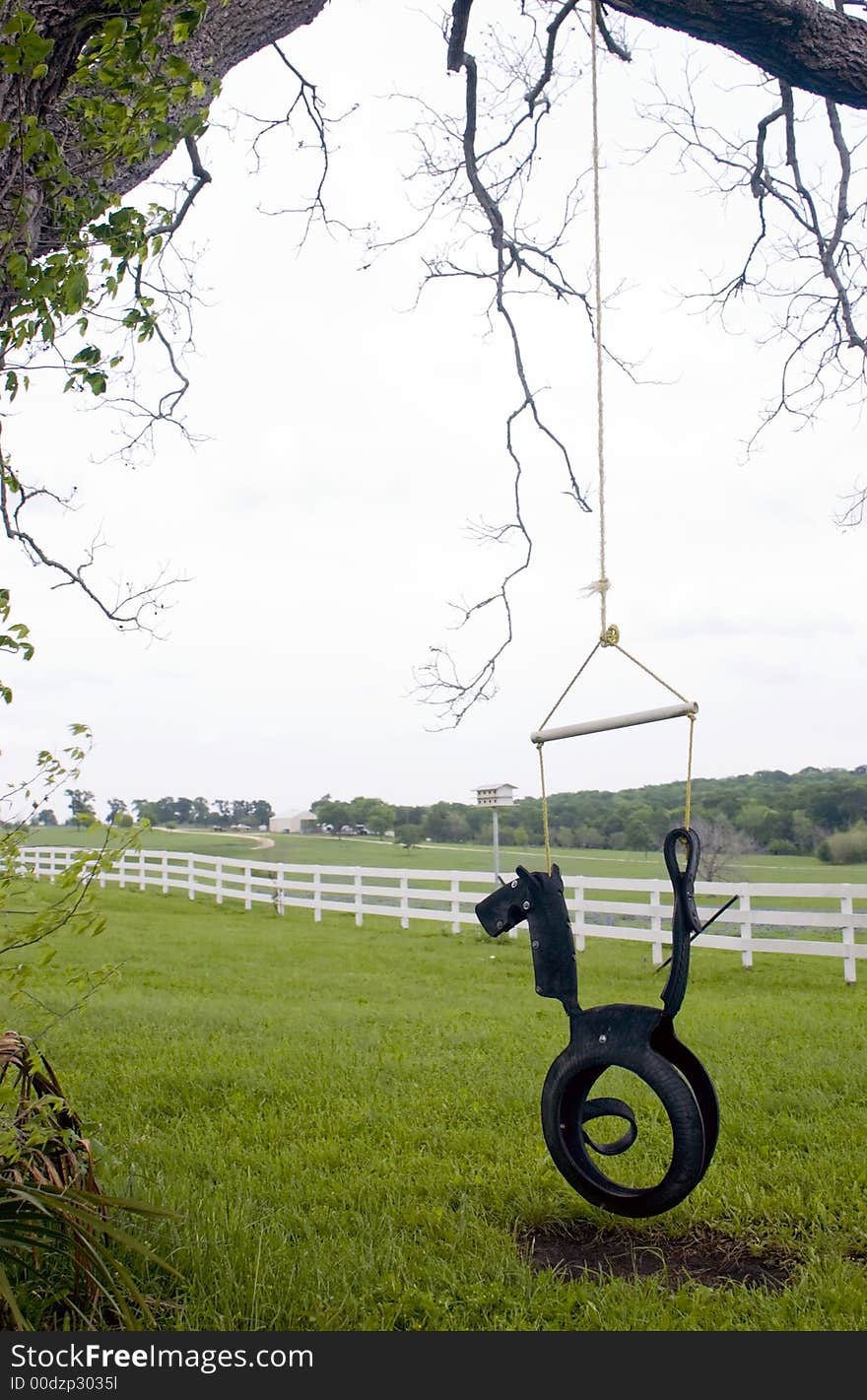 Child's tree swing with a horse shaped head on it hanging from a large tree with a large field and a white board fence in the background.