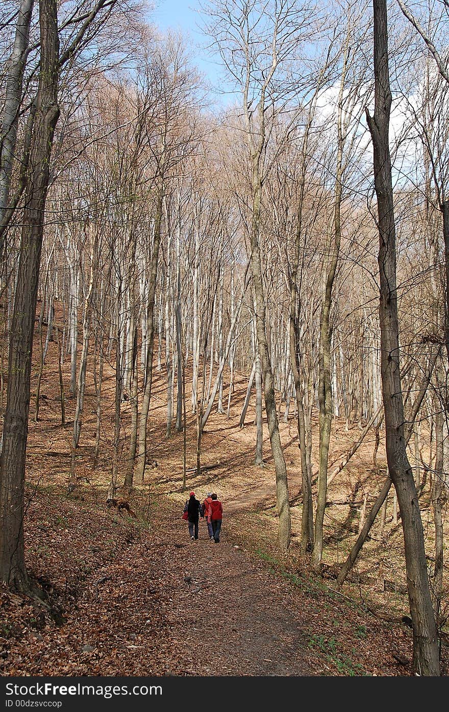 A group go for a trip in Hungary at spring time. A group go for a trip in Hungary at spring time.