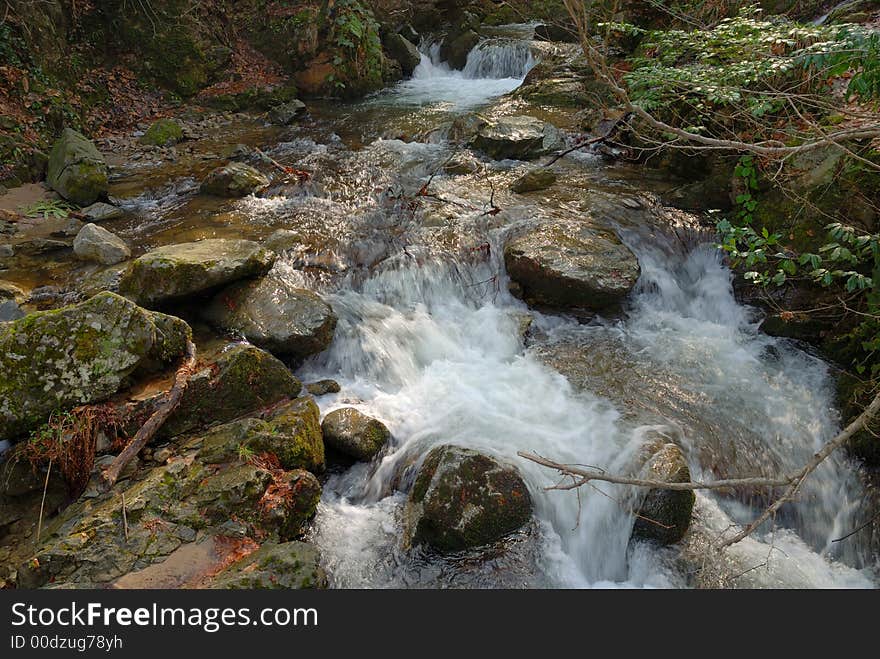 Creek in the forest, wide angle