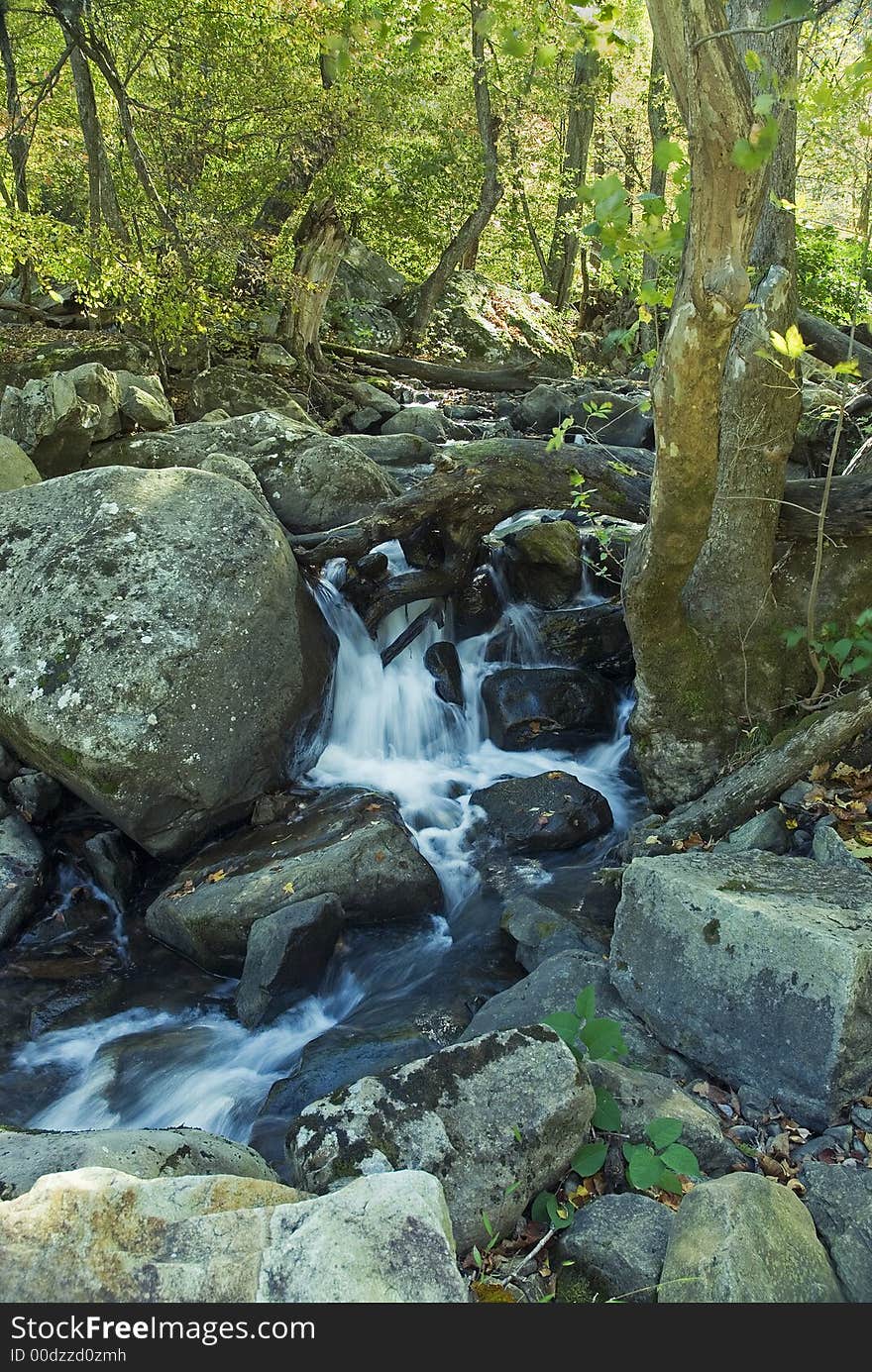 A gentle woodland stream gurgles through the rocks. A gentle woodland stream gurgles through the rocks