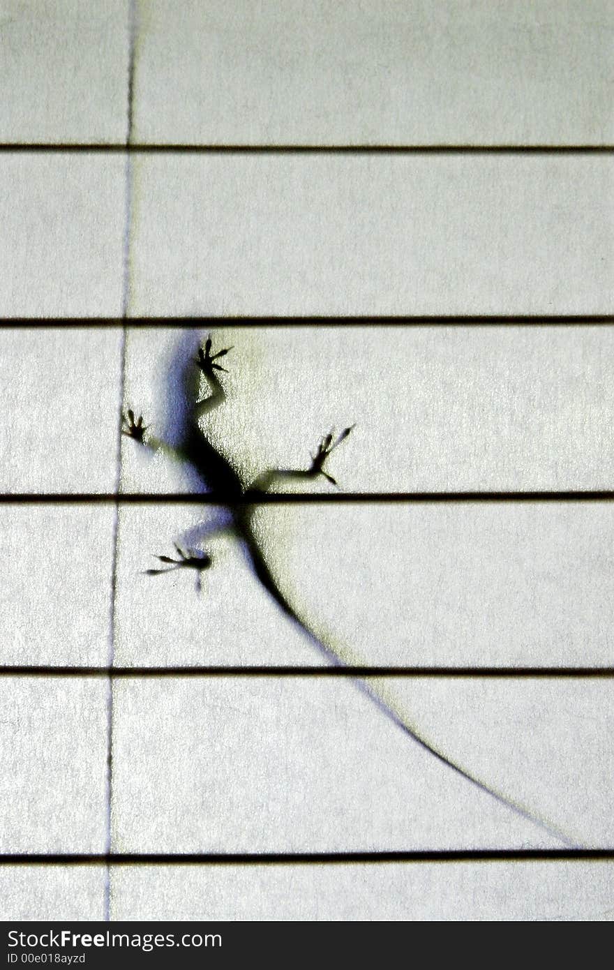 Gecko Silhouette