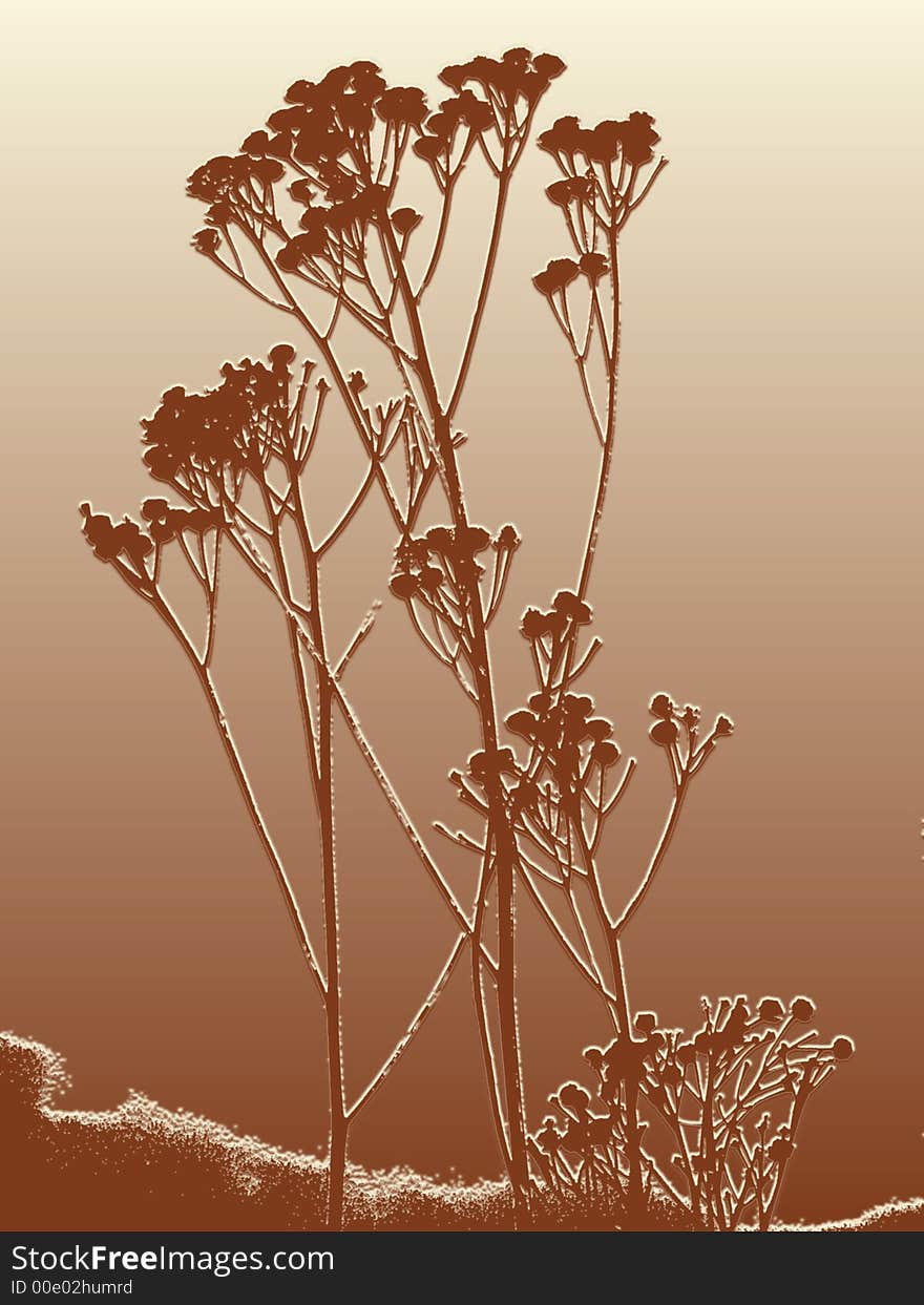 Silhouette of herbs