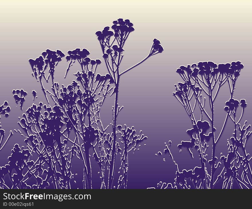 Silhouette of winter herbs ( feverfew ) in violet&yellow. Silhouette of winter herbs ( feverfew ) in violet&yellow