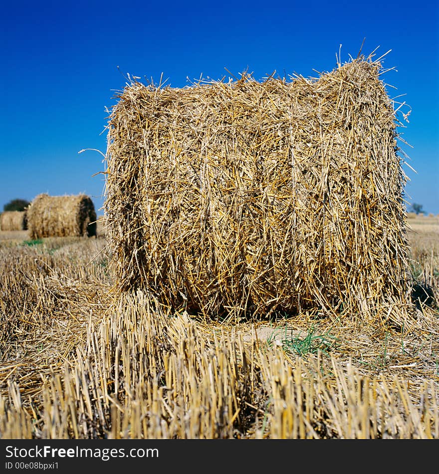 Haybale with blue sky in the background. Haybale with blue sky in the background