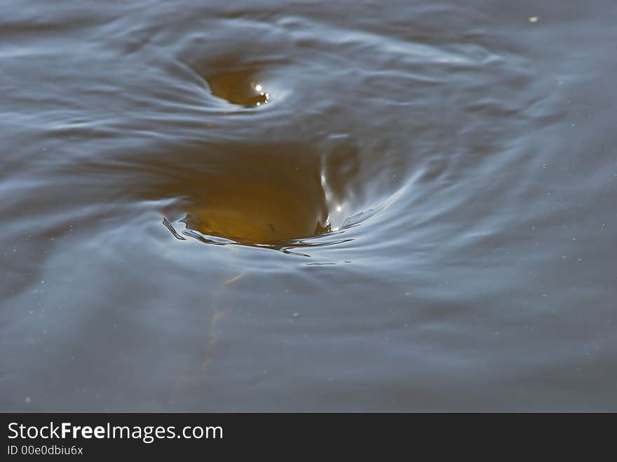 A swirling vortex in water. A swirling vortex in water